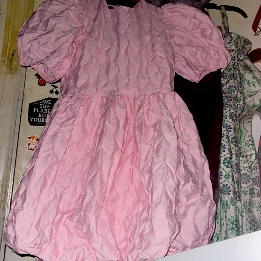 NWT English Factory Ballet Puff/Balloon Mini dress! Pink with texture! - Picture 7 of 9